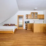 Lejlighed Rosie-dolni Namesti By Interhome *