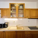 Apartament Rosie-dolni Namesti By Interhome Rokytnice nad Jizerou