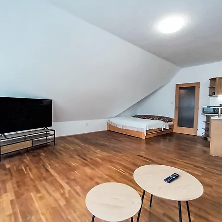 Apartment Dolni Namesti By Interhome