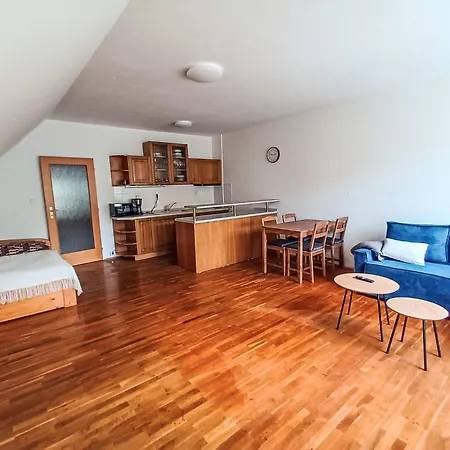 Dolni Namesti By Interhome Apartment Rokytnice nad Jizerou