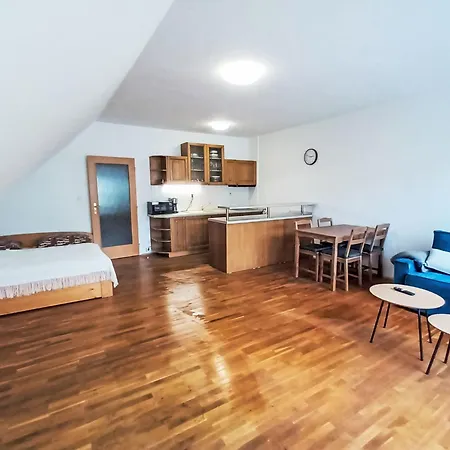 Dolni Namesti By Interhome *