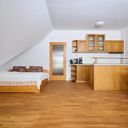 Appartement Rosie-dolni Namesti By Interhome *