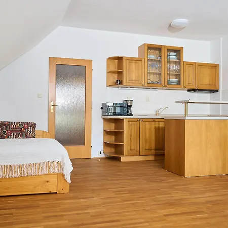 Rosie-dolni Namesti By Interhome * روكيتنسي ناد جيزيرو