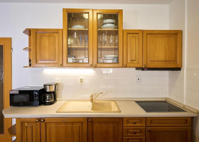Appartement Rosie-dolni Namesti By Interhome Rokytnice nad Jizerou