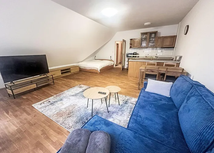 Rosie-dolni Namesti By Interhome